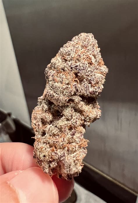 truffle treats strain leafly